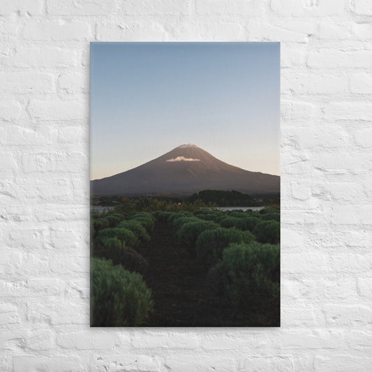 Mt. Fuji on canvas
